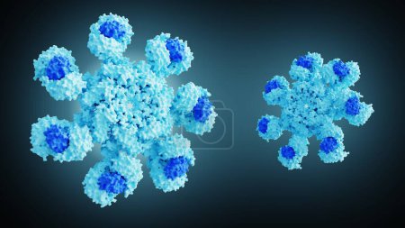 Photo for 3D rendering of human apoptosome molecule contains seven Apaf-1 molecules symmetrically arranged in a wheel-shaped structure to form a central hub - Royalty Free Image