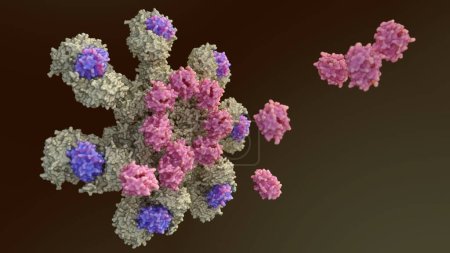 Foto de 3d renderización de Caspasa-9 se activa en el complejo apoptosoma y caspasa-9 activar caspasa-3 - Imagen libre de derechos