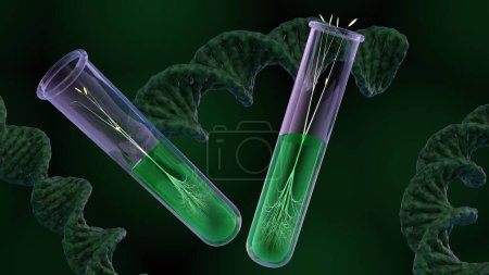 3D-Darstellung der Pflanzenkeimung im Reagenzglas und Nahaufnahme einer DNA-Helix.