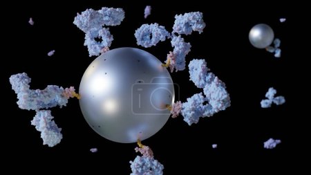 Un rendu 3D en gros plan des nanoparticules magnétiques conjuguées aux anticorps.