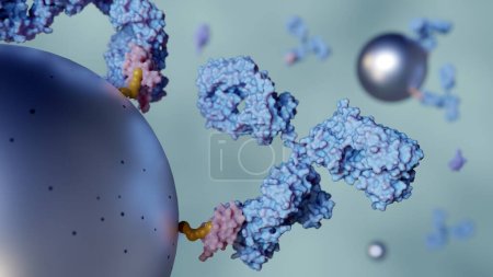 Un rendu 3D en gros plan des nanoparticules magnétiques conjuguées aux anticorps.