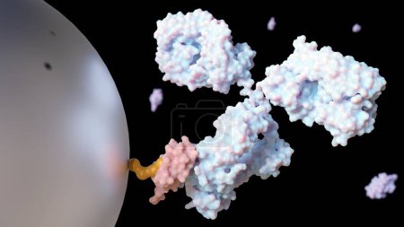 Photo for A close-up 3D rendering of antibody-conjugated magnetic nanoparticles. - Royalty Free Image