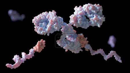 Photo for Conjugal of DNA to primary antibodies with protein G and linker for multiplexed cellular targeting: 3D rendering - Royalty Free Image