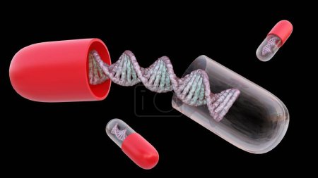 Photo for A 3D rendering depicts a DNA helix encapsulated within a drug capsule case. - Royalty Free Image