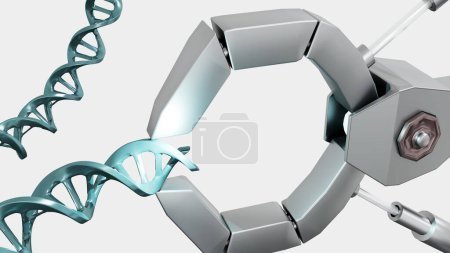 Téléchargez les photos : Dans un rendu 3D, des griffes robotiques isolées saisissent un brin d'ADN - en image libre de droit
