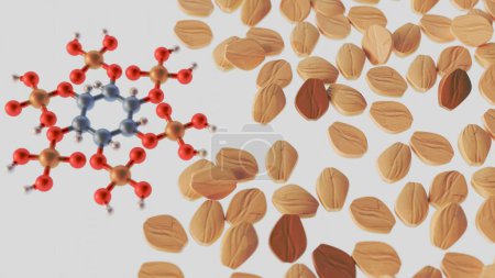 Photo for 3d rendering of Phytate, also known as phytic acid It's found in seeds, nuts, legumes, and unprocessed whole grains - Royalty Free Image