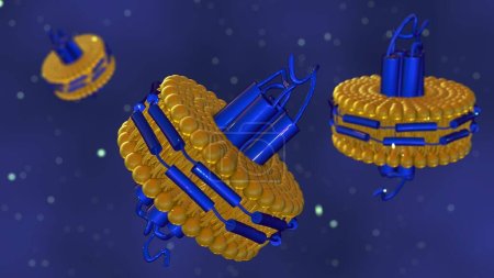 Photo for 3d rendering of nanodisc consists of Phospholipids and A stabilizing belt that holds the phospholipids together. - Royalty Free Image