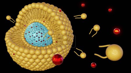 Téléchargez les photos : Nanoparticules de silice mésoporeuses recouvertes de bicouches lipidiques : Nanocarrières émergents pour l'administration ciblée de médicaments et la libération de nanomédecine rendue 3D - en image libre de droit