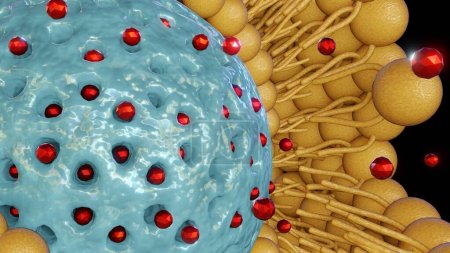 Téléchargez les photos : Nanoparticules de silice mésoporeuses recouvertes de bicouches lipidiques : Nanocarrières émergents pour l'administration ciblée de médicaments et la libération de nanomédecine rendue 3D - en image libre de droit
