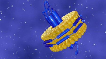 Photo for 3d rendering of nanodisc consists of Phospholipids and A stabilizing belt that holds the phospholipids together. - Royalty Free Image