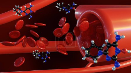 Foto de 3d representación de moléculas de Minoxidil en el vaso sanguíneo. la acción del minoxidil de relajar los vasos sanguíneos facilita el flujo sanguíneo, reduciendo así la presión arterial. - Imagen libre de derechos