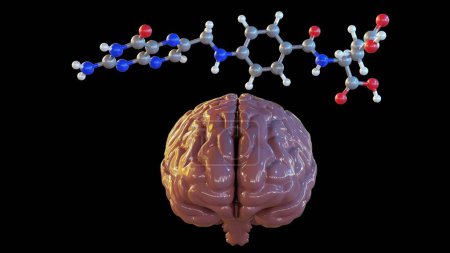 Le rendu 3D des molécules d'acide folique, également connu sous le nom de vitamine B9, est essentiel au bon fonctionnement du cerveau et à la santé mentale et émotionnelle..