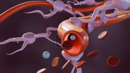 Foto de Representación 3d de astrocitos con vaso sanguíneo, que se encuentra abundantemente en todo el cerebro y la médula espinal. - Imagen libre de derechos