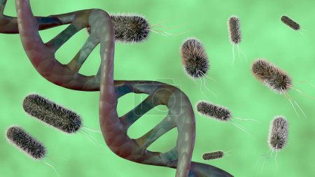 3D-Darstellung eines Doppelhelix-DNA-Strangs, der von mehreren stäbchenförmigen Bakterien umgeben ist, die Interaktion zwischen Bakterien und DNA.