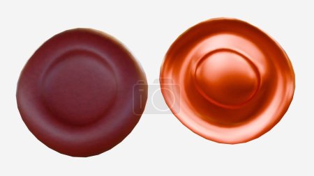 3D-Darstellung von hypochromen roten Blutkörperchen sind rote Blutkörperchen, die weniger Farbe haben als normal, wenn sie unter dem Mikroskop untersucht werden..