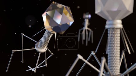 3d rendering of bacteriophage also known informally as phage