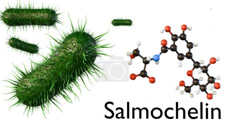 3d rendering of salmochelin molecule, enterobactin produced by Salmonella species inside of egg