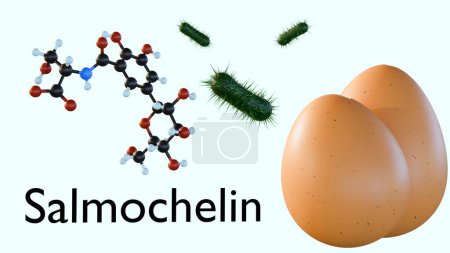 3d representación de la molécula de salmoquelina, enterobactina producida por especies de Salmonella dentro del huevo