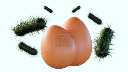 3d Rendering Salmonellen und Eier, Salmonellen infiziert die Eierstöcke von Hühnern, Kontamination der Eier verursachen Salmonellose