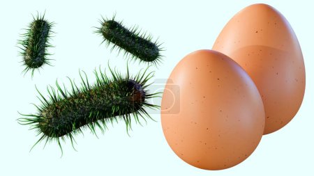 3d Rendering Salmonellen und Eier, Salmonellen infiziert die Eierstöcke von Hühnern, Kontamination der Eier verursachen Salmonellose