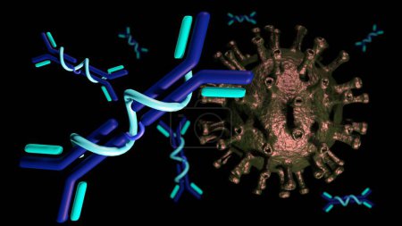 Le rendu 3d des molécules IgA neutralise ou bloque l'activité du virus et empêche leur attachement aux cellules hôtes