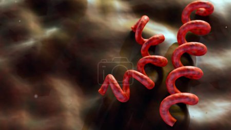 Photo for 3d rendering of Treponema pallidum, the bacteria that cause syphilis - Royalty Free Image