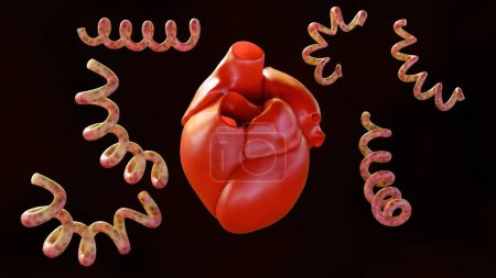 3d rendu de la syphilis cardiovasculaire se réfère à l'infection du c?ur et des vaisseaux sanguins connexes par la bactérie syphilis