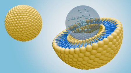 3d rendering of nanomedicine inside of liposome lipid bilayer