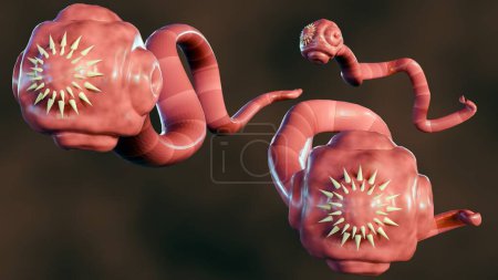 3D-Rendering isolierter Bandwürmer. Es ist ein flacher, parasitärer Wurm, der im Darm eines tierischen Wirts lebt