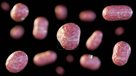Foto de 3d rendering of the bacterium Francisella tularensis causes tularemia disease - Imagen libre de derechos