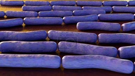 El ántrax es una enfermedad bacteriana mortal causada por la bacteria Bacillus anthracis, 3d rendering