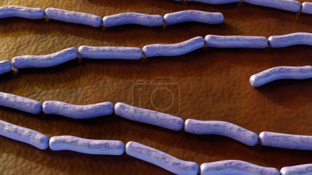 Anthrax is a fatal bacterial disease caused by the Bacillus anthracis bacterium, 3d rendering