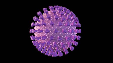 3D-Darstellung von Echovirus. Der Name leitet sich vom "enteric cytopathic human orphan virus" ab"
