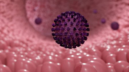 Rendu 3d d'Echovirus. Le nom est dérivé de "virus orphelin humain cytopathique entérique"