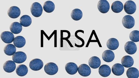 3d rendering of MRSA, significa Staphylococcus aureus resistente a la meticilina, un tipo de bacteria que es resistente a varios antibióticos
