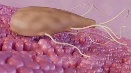 Foto de 3d representación de Giardia, es un parásito microscópico que vive en los intestinos. El parásito puede causar una infección intestinal llamada - Imagen libre de derechos