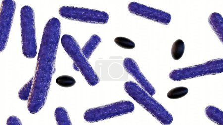 Téléchargez les photos : Rendu 3d de Clostridium botulinum isolé sur fond blanc - en image libre de droit
