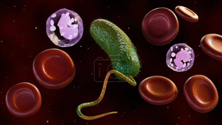 Representación 3D de Vibrio vulnificus, glóbulos rojos y glóbulos blancos