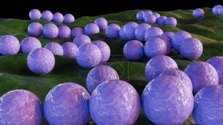 3d rendering of streptococcus, is spherical bacterium that belong to the family Streptococcaceae. They are non-sporing cocci that tend to link in chains.
