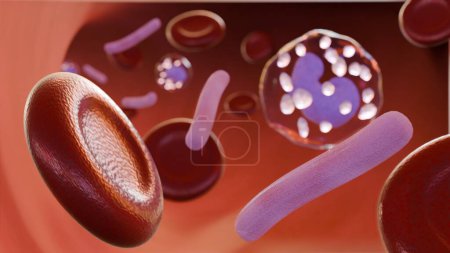 3D-Darstellung von Septikämie, oder Sepsis, ist der klinische Name für Blutvergiftung durch Klebsiella spp. Bakterien.