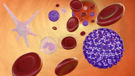3D-Darstellung von Virämie, ist ein medizinischer Zustand, der auftritt, wenn Viren in den Blutkreislauf gelangen.