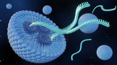3D-Rendering von RNA-Strängen oder klein interferierenden RNA oder siRNA, mRNA oder CRISPR-Lieferung durch lipidbasierte Nanopartikel