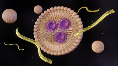 Foto de Renderizado 3d de hebras de ARN o pequeños ARN interferentes o siARN, ARNm o CRISPR mediado por nanopartículas a base de lípidos - Imagen libre de derechos