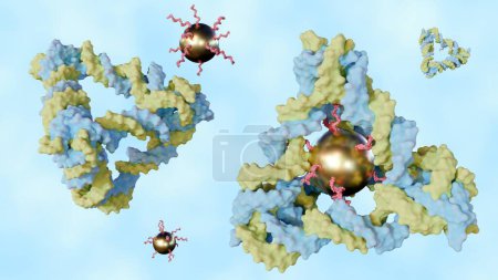 3D-Rendering von konjugierten Gold-Nanopartikeln im DNA-Tetraeder