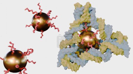3d rendering of conjugated gold nanoparticles inside of  DNA tetrahedron