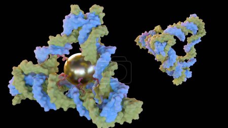 3d rendering of conjugated gold nanoparticles inside of  DNA tetrahedron