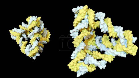 Photo for 3d rendering of DNA tetrahedron is designed to be mechanically robust; it consists of rigid triangles of DNA helices covalently joined at the vertices - Royalty Free Image