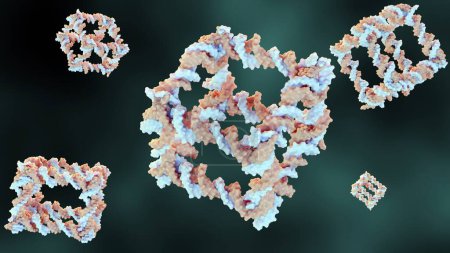 3d rendering of the construction from DNA of a covalently closed cube-like molecular complex 