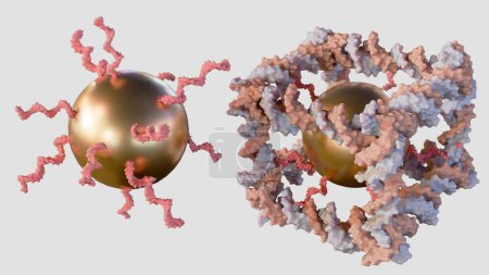 representación 3d de nanopartículas de oro conjugadas dentro de la construcción a partir del ADN de un complejo molecular similar a un cubo covalentemente cerrado 