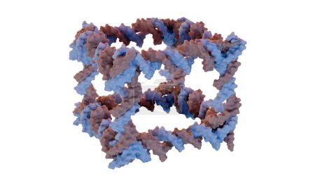 3d rendering of the construction from DNA of a covalently closed cube-like molecular complex 